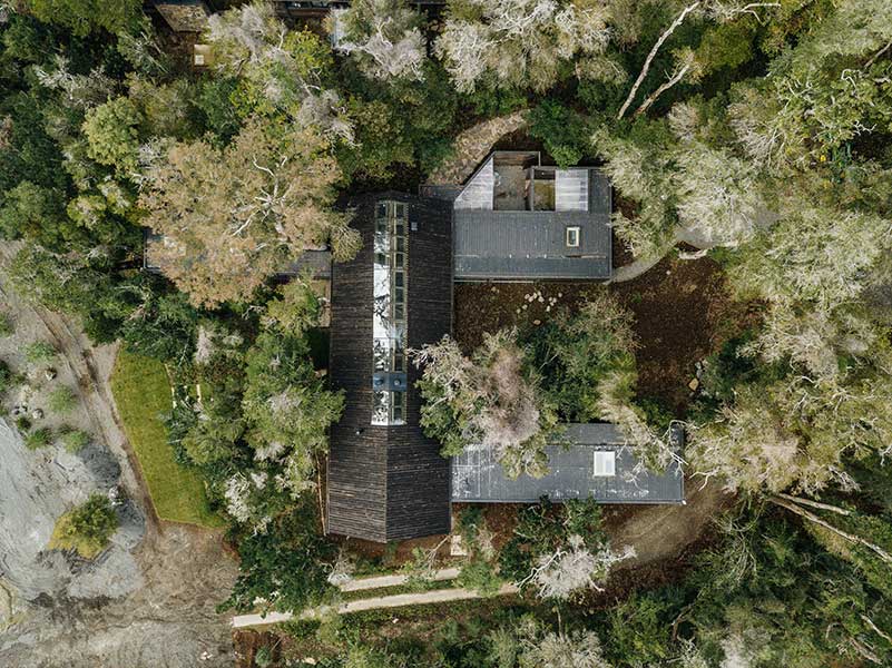 Vivienda Sector Quillín vista desde el aire, entre bosque nativo